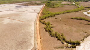 DCIM101MEDIADJI_0417.JPG