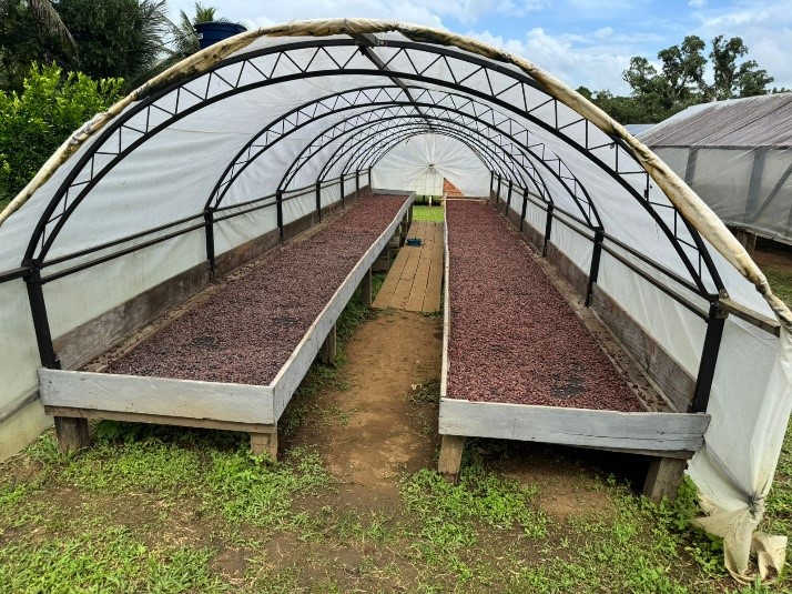 Pesquisadores do PETROFOZ acompanham cadeia produtiva do cacau e cupuaçu no extremo norte do Amapá